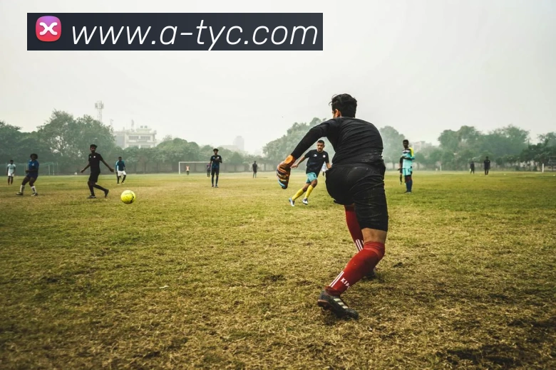 太阳城网站APP 封面图